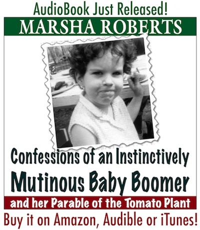 The cover for Marsha's audiobook version of her book